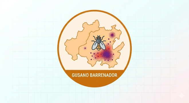 Acceso al mapa de gusano barrenador